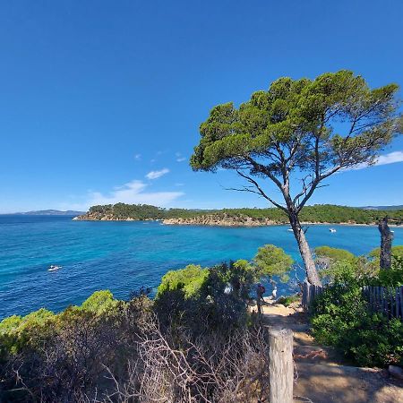 Coquet Studio Avec Belle Terrasse Lejlighed La Londe-les-Maures Eksteriør billede